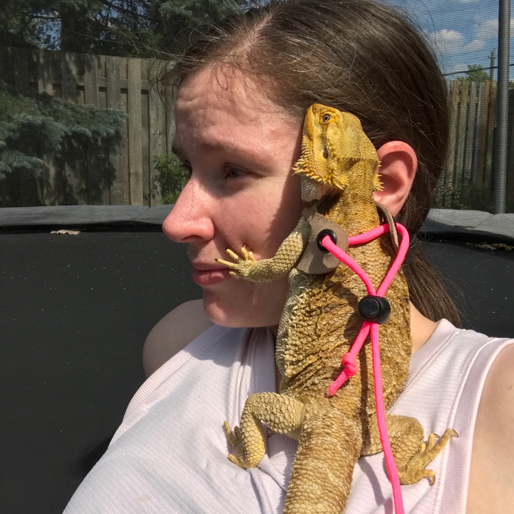 Meet your Posher, Kristen